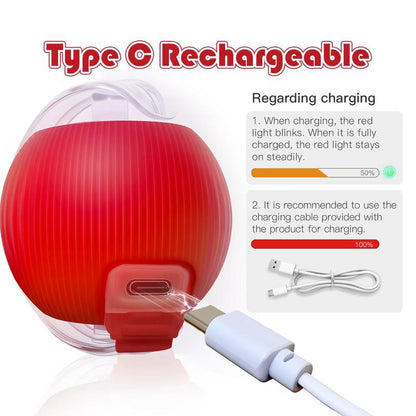 WigglePaw Interactive Pet Ball